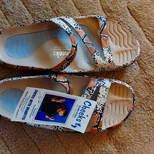 Cheeks Health Slides